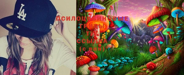 шишки Балахна