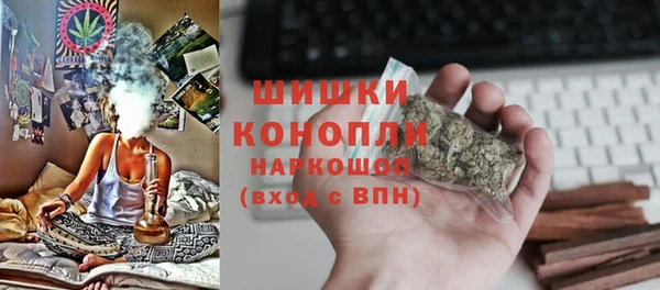 ГАЛЛЮЦИНОГЕННЫЕ ГРИБЫ Арсеньев
