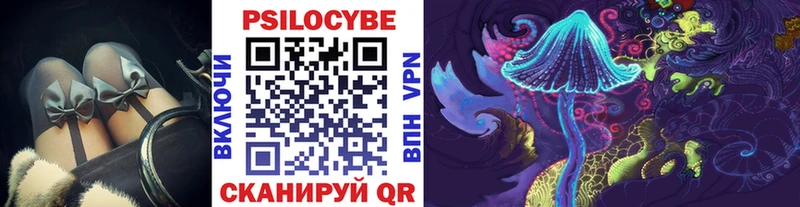 blacksprut как зайти  Волгоград  Галлюциногенные грибы мицелий  где продают наркотики 